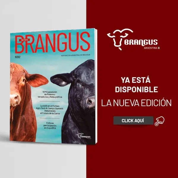 Revista Brangus 92