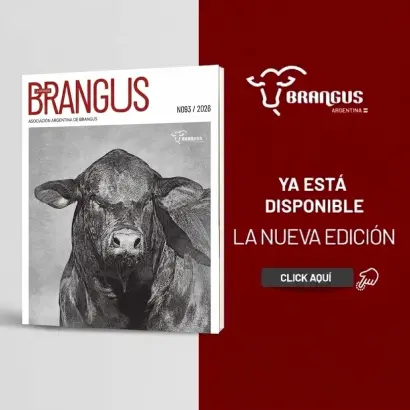 Revista Brangus Año: 48 Número: 93 Julio 2026